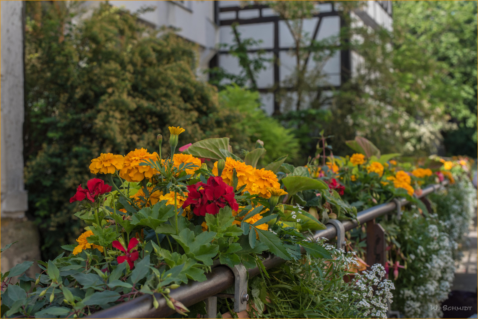 Blumenschmuck in Tübingen