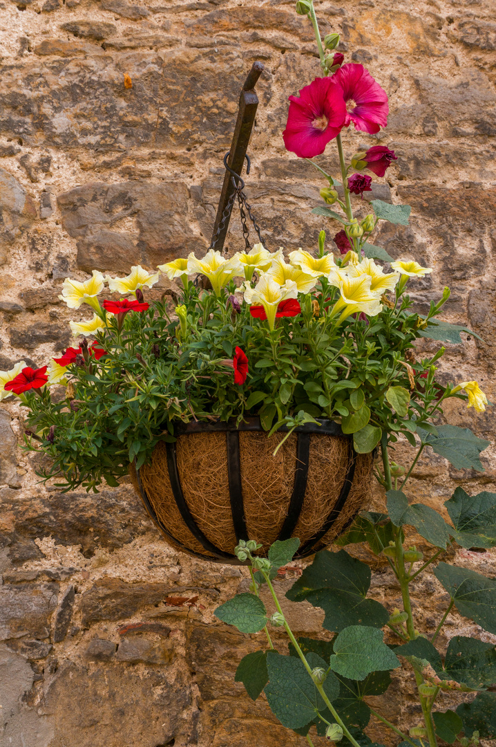 Blumenschmuck Rittergut Münchhausen  - Apelern/Nds.