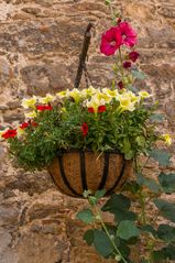 Blumenschmuck Rittergut Münchhausen  - Apelern/Nds.