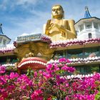 Blumenschmuck vor dem Goldenen Tempel in Dambulla.