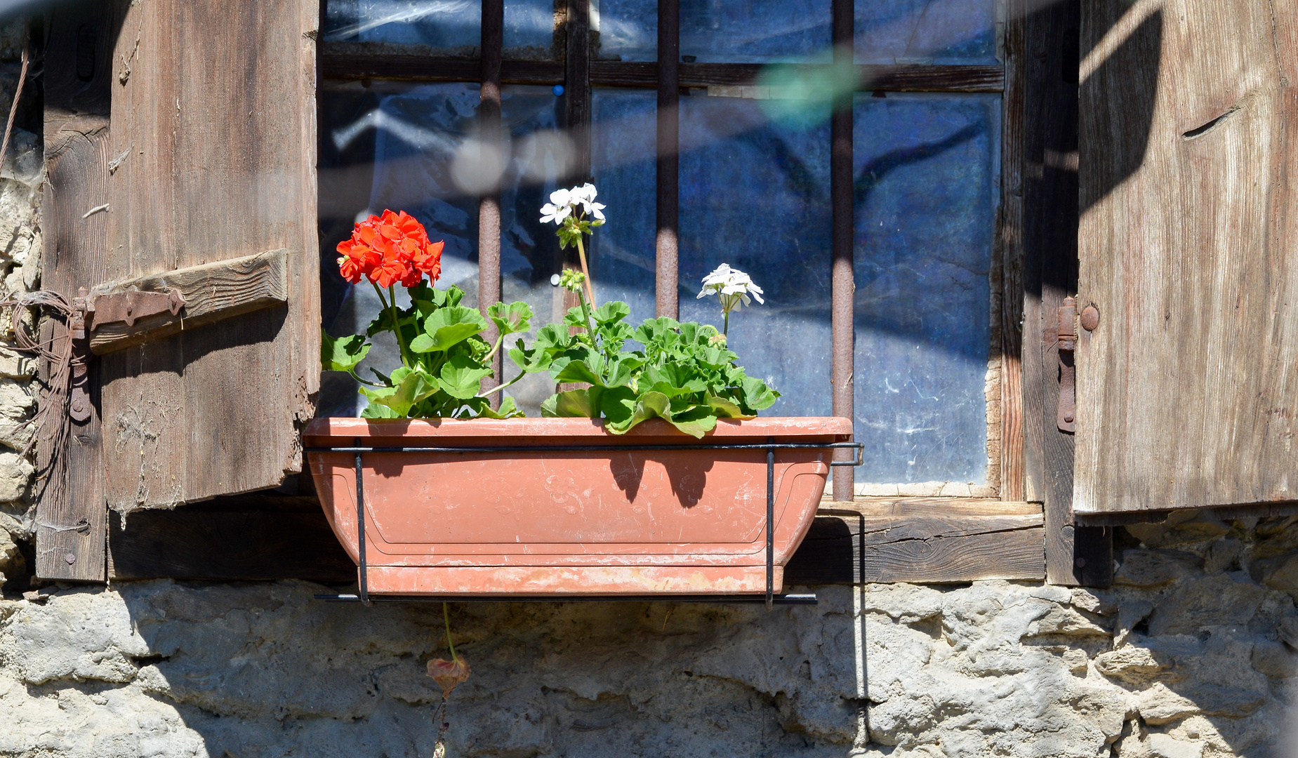 Blumenschmuck vor jedem Fenster