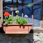 Blumenschmuck vor jedem Fenster