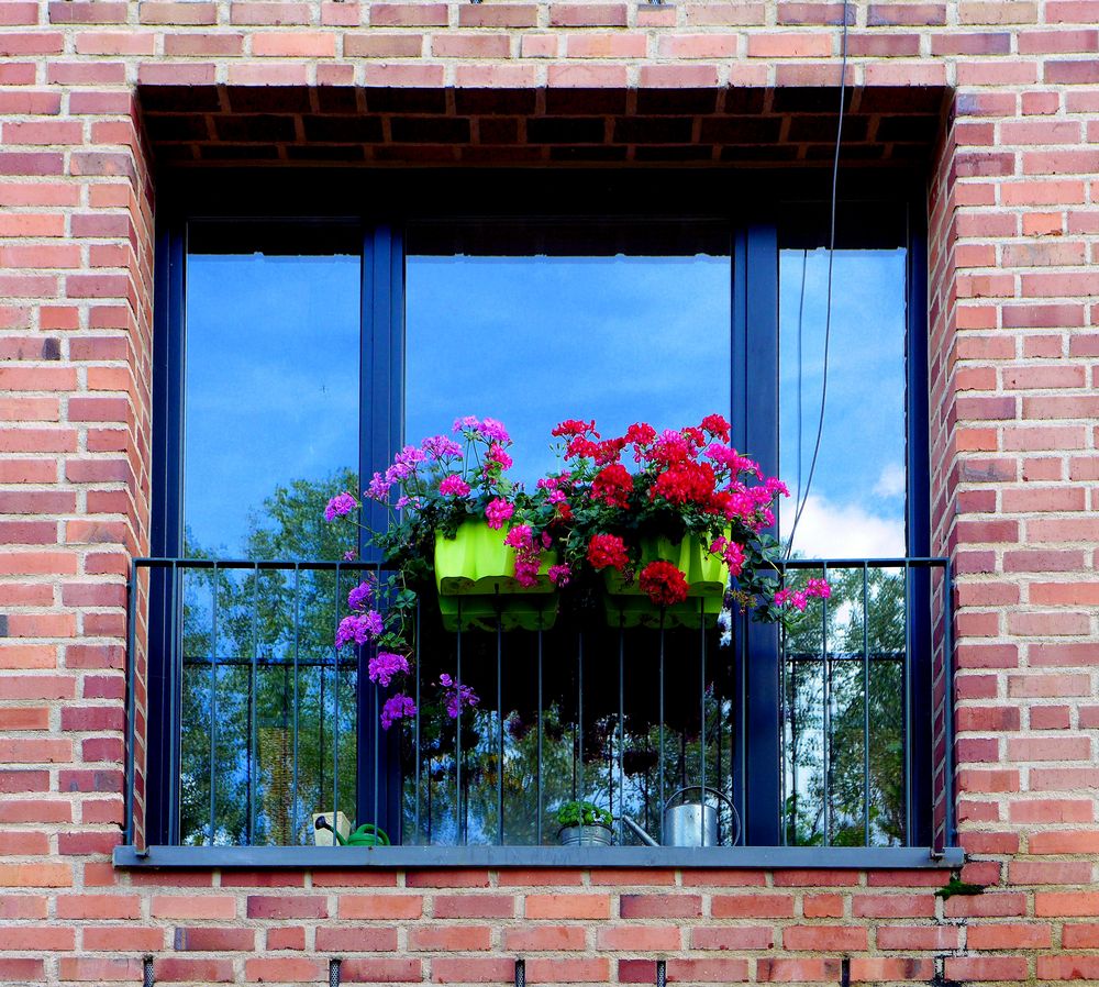 Blumenspiegelfenster