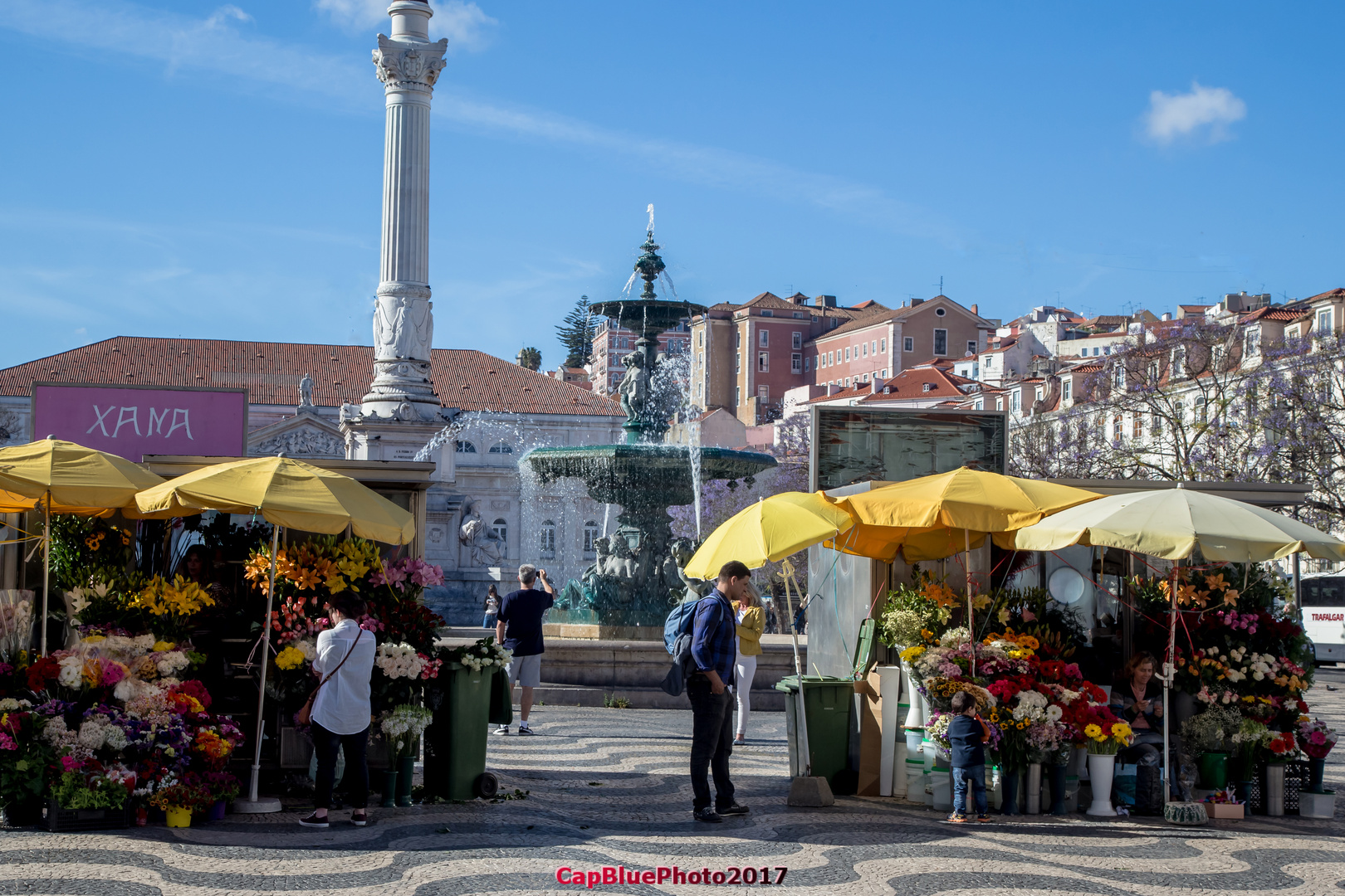 Blumenstände am Rossio Lisboa