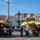 Blumenstände am Rossio Lisboa