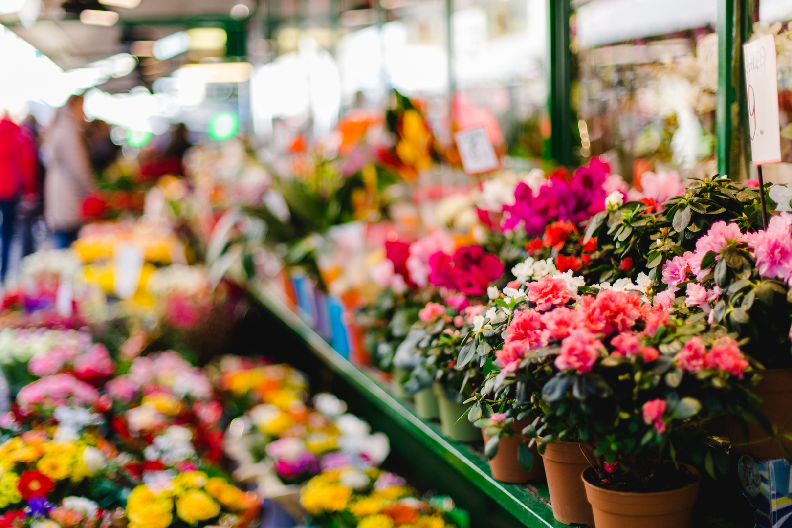 Blumenstand in Bozen