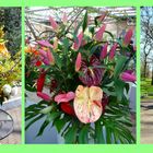 Blumensträusse im Keukenhof