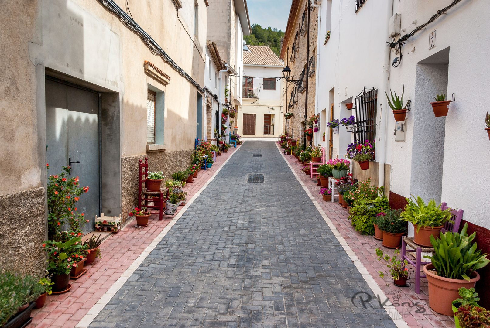 Blumenstrasse Lliber