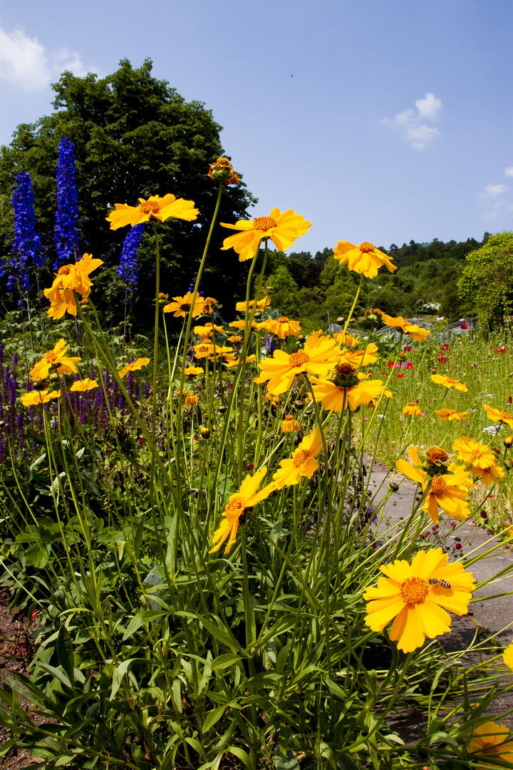 Blumenstrauß