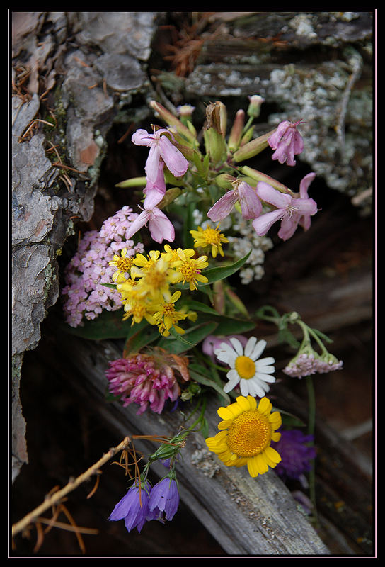 Blumenstrauß am Wegesrand