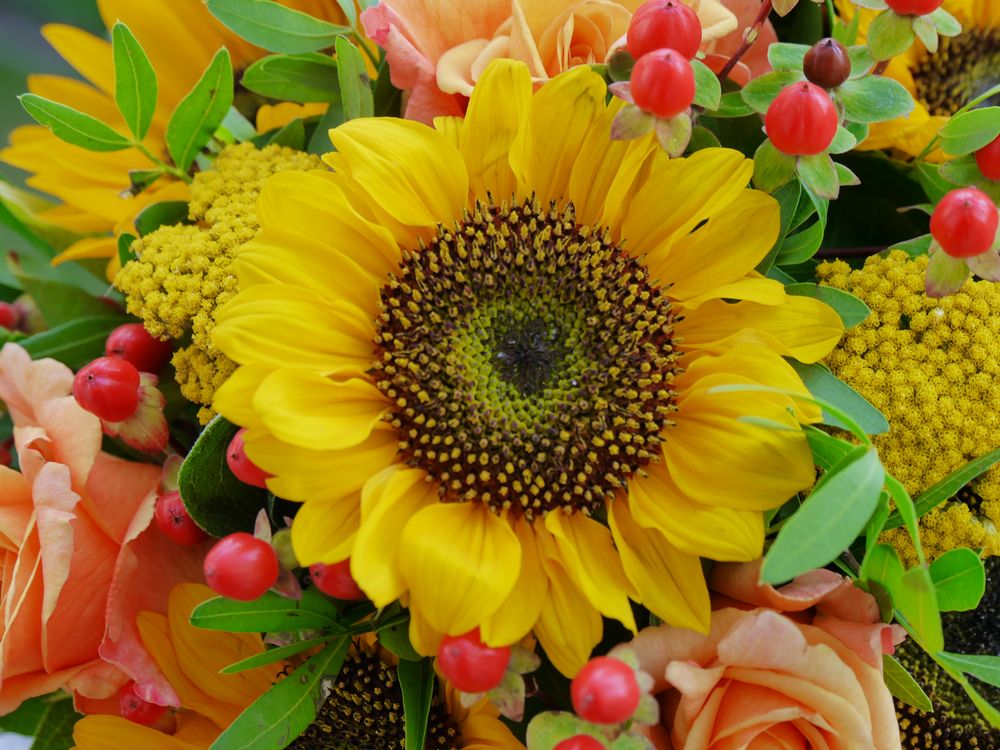 Blumenstrauß Foto & Bild blumen, sonnenblume, 20.07.2017 Bilder auf