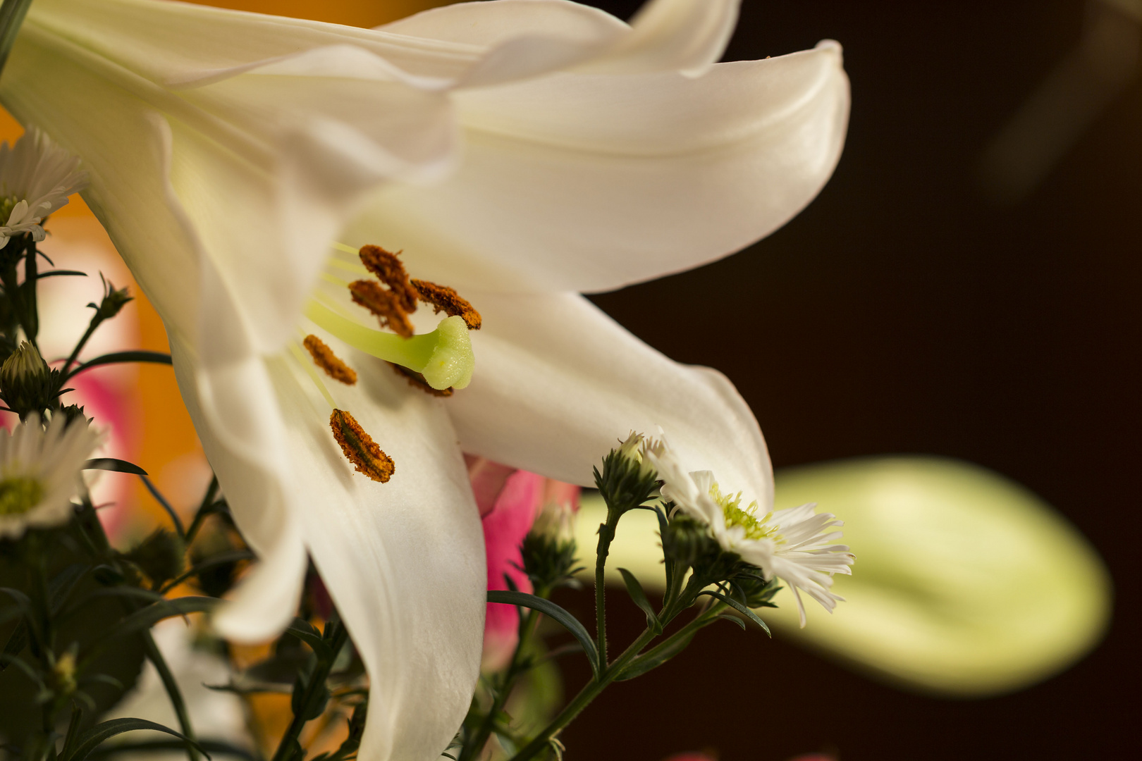 Blumenstrauß im Winter Foto & Bild | pflanzen, pilze & flechten