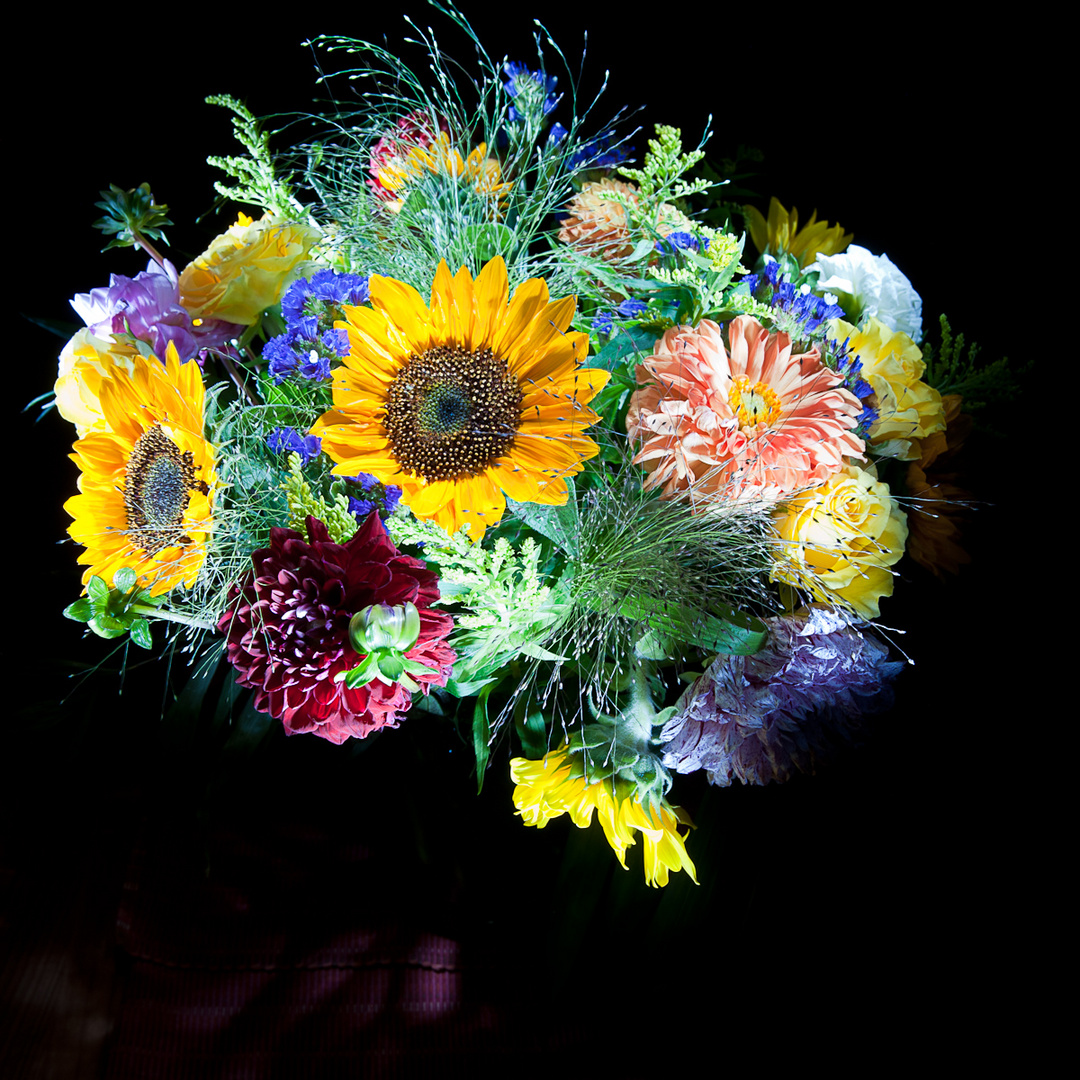 Blumenstrauss Mit Blitz Gemalt Foto Bild Pflanzen Pilze Flechten Bluten Kleinpflanzen Lowenzahn Bilder Auf Fotocommunity