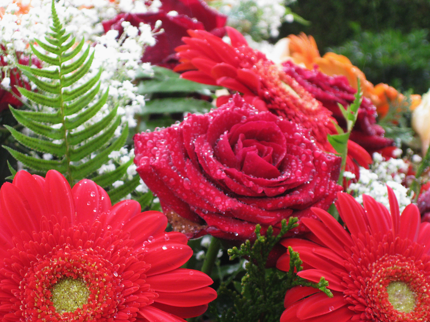 Blumenstrauß nach Regen