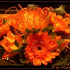 Blumenstrauss orangefarben