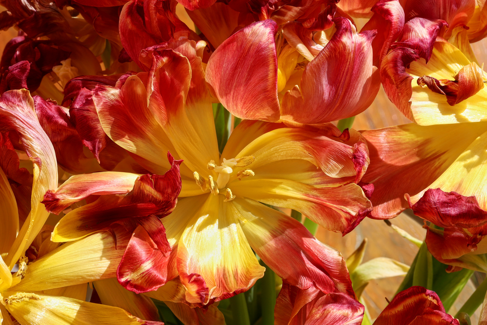 Blumenstrauss prächtig bis zuletzt  -  floral bouquet gorgeous to the last