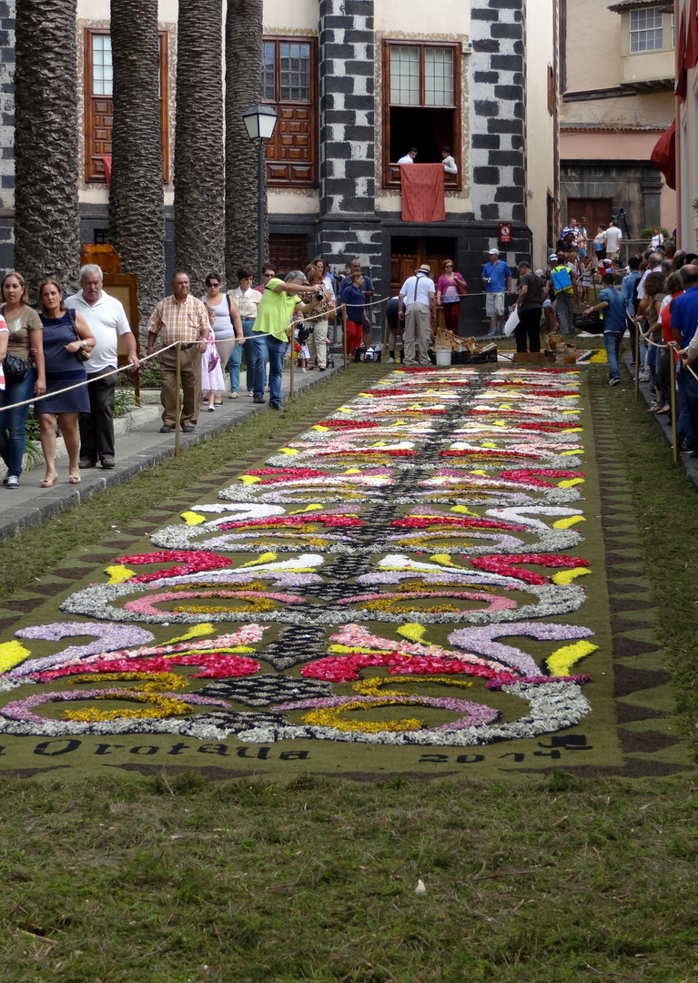 Blumenteppich in La Orotava