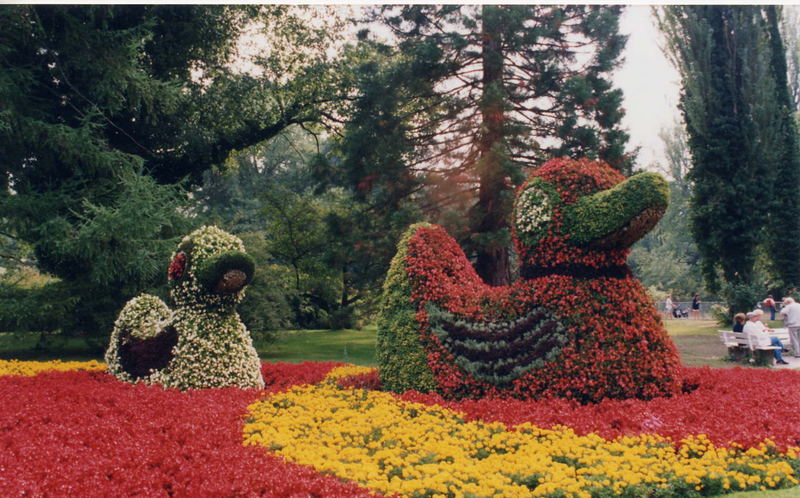 Blumentiere auf der Insel Mainau