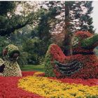 Blumentiere auf der Insel Mainau