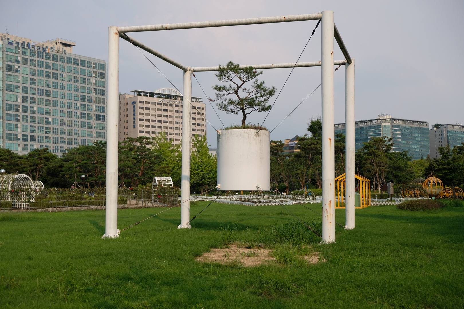 Blumentopf für einen Baum