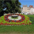 Blumenuhr in Görlitz