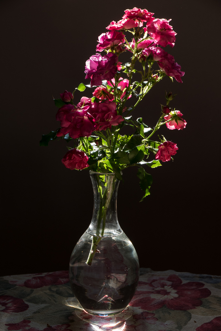 Blumenvase in der Morgensonne