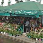 Blumenverkäufer in Tunis