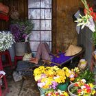 Blumenverkäuferin in Hoi An (Vietnam)