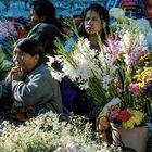 Blumenverkäuferin in Solola, Guatemala