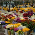 Blumenverkäuferinnen in Istanbul