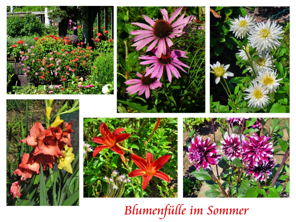 Blumenvielfalt