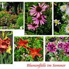 Blumenvielfalt