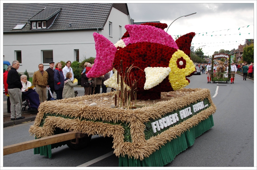 Blumenwagen....