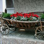 Blumenwagen 