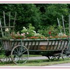 " Blumenwagen "