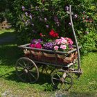 Blumenwagen