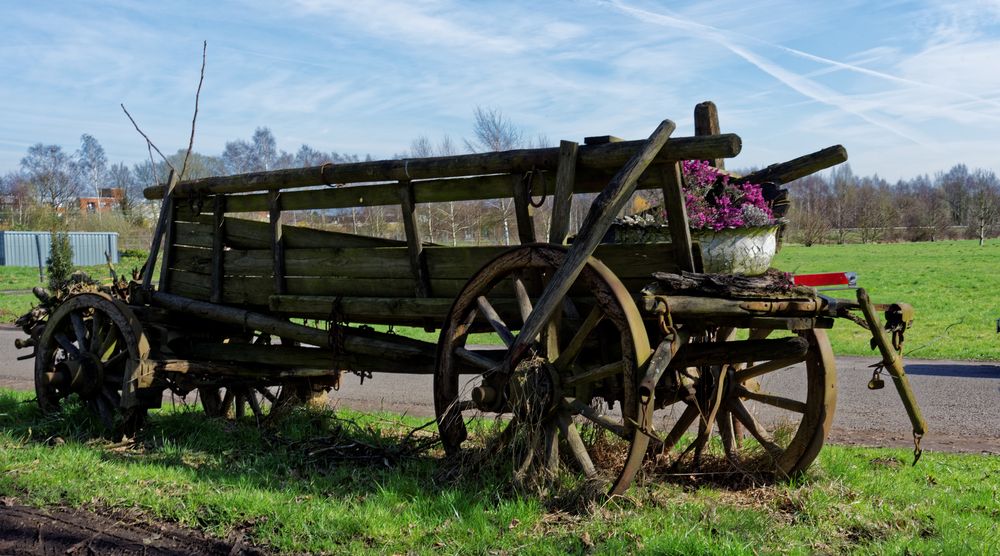 Blumenwagen