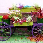 Blumenwagen