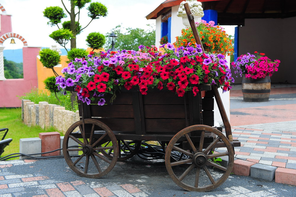 Blumenwagen