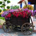 Blumenwagen