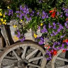 Blumenwagen....