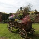 Blumenwagen