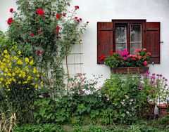 Blumenwand mit Fenster