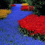 Blumenwege...