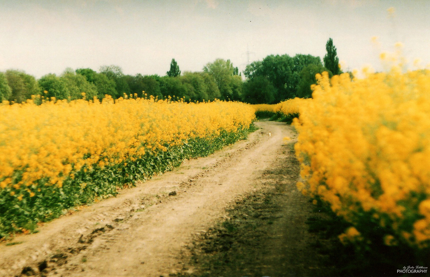 Blumenwege
