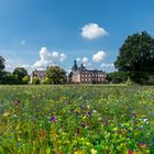 Blumenwiese