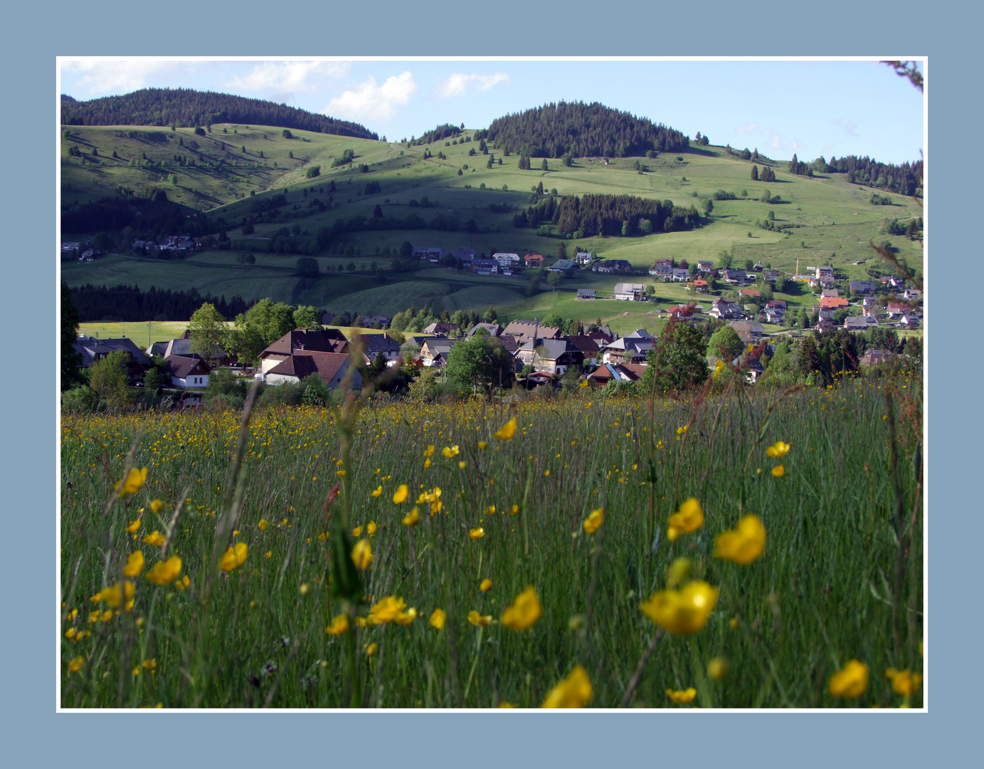 Blumenwiese 2