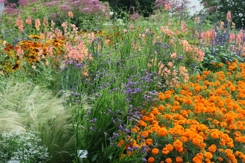 Blumenwiese 2 im Park der Gärten in Bad Zwischenahn Foto & Bild