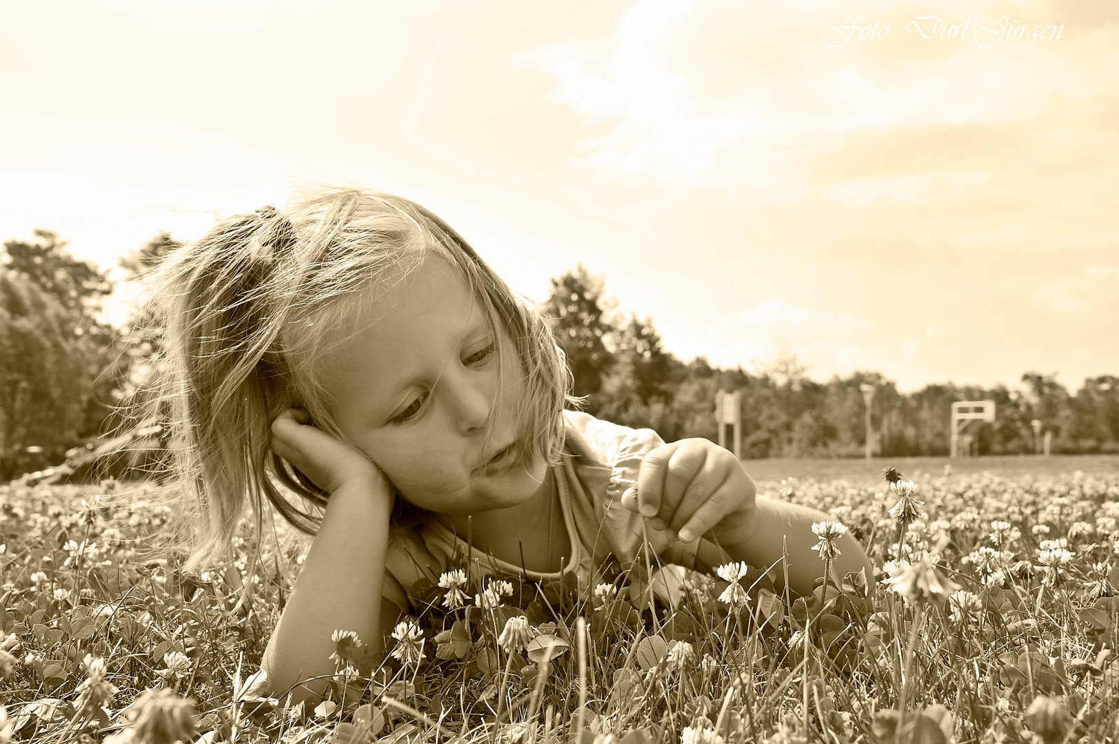 Blumenwiese