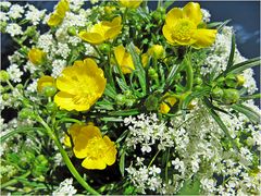 BLUMENWIESE